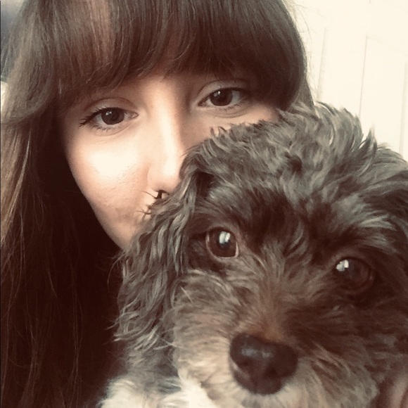 Meet your Posher, Coco - Picture 1 of 1